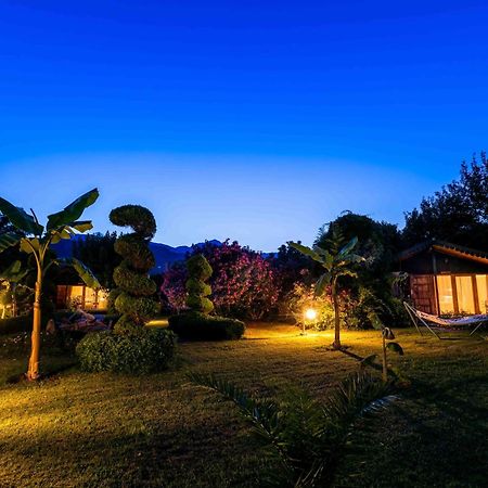 Etenna Beach Bungalows Cirali Bagian luar foto